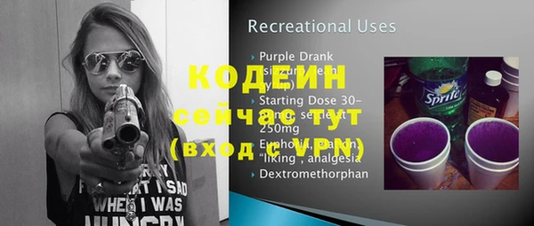 apvp Инта