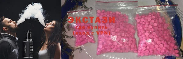 apvp Инта