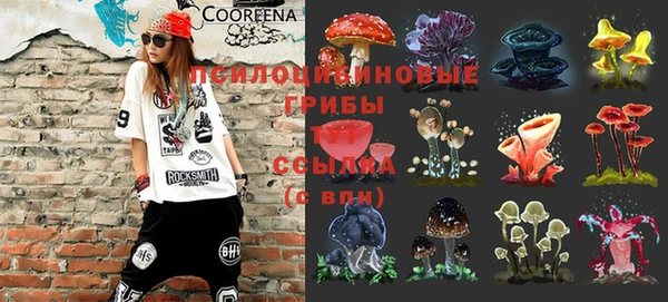 apvp Инта
