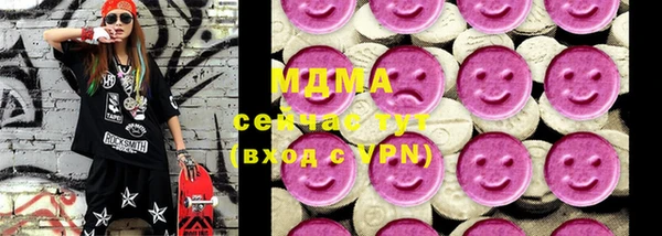 apvp Инта