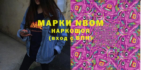 apvp Инта