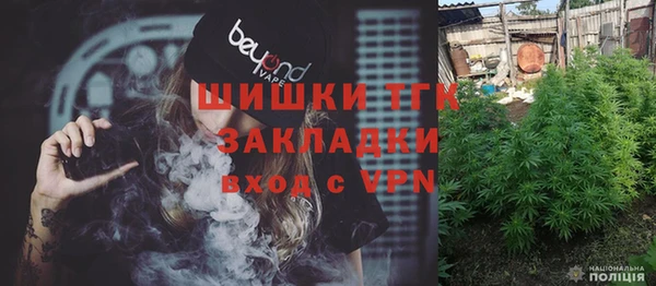 apvp Инта