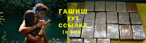 apvp Инта