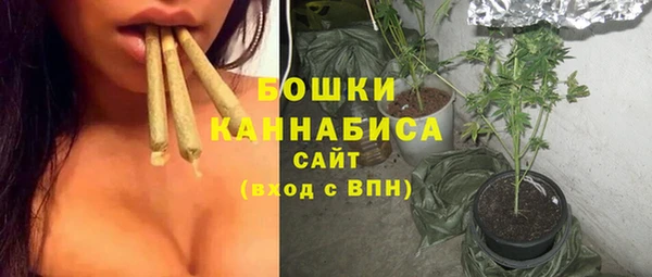 apvp Инта