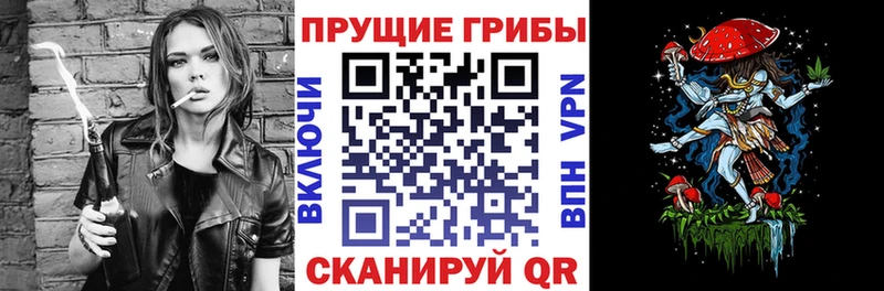 где можно купить наркотик  мега вход  Галлюциногенные грибы ЛСД  Шлиссельбург 